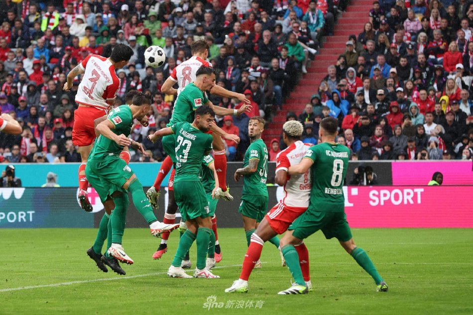 强了塞鸟在 强了塞鸟在